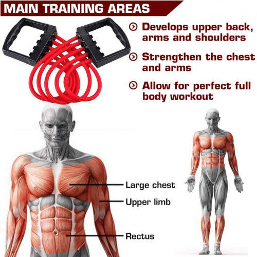 5 Springs Chest Expander & Hand Gripper Muscle Exerciser