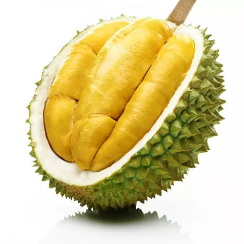 Malaysian Durian Fruit 1Kg