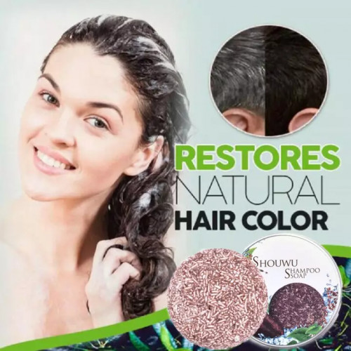 Hair Darkening Shampoo Natural Organic Conditioner & Repair