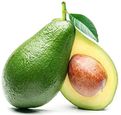 Avocado Fruit kg- 