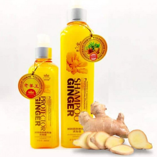 Original- Protector Ginger Shampoo for Anti Dandruff – 500ml