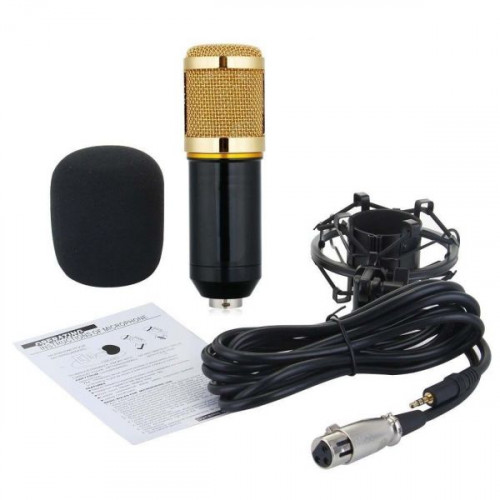 BM 800 Condenser Microphone
