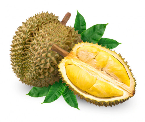 Malaysian Durian Fruit 1Kg