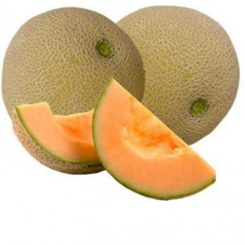 shamam fruit in Malaysia 1kg