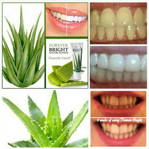 Forever Bright Aloe Vera Toothgel